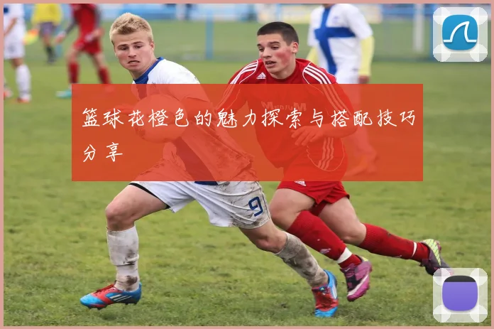篮球花橙色的魅力探索与搭配技巧分享