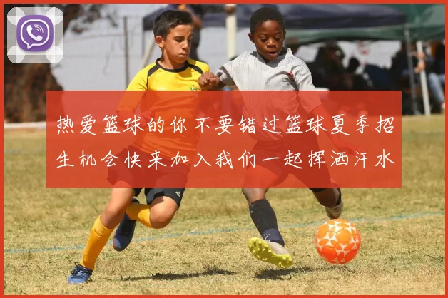 热爱篮球的你不要错过篮球夏季招生机会快来加入我们一起挥洒汗水追逐梦想