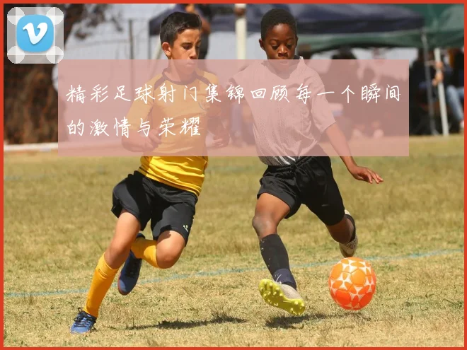 精彩足球射门集锦回顾每一个瞬间的激情与荣耀