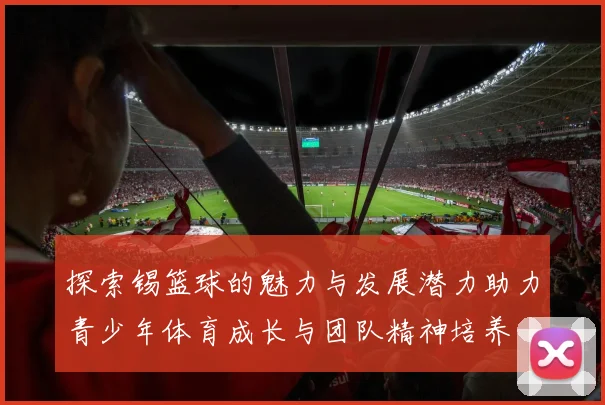 探索锡篮球的魅力与发展潜力助力青少年体育成长与团队精神培养