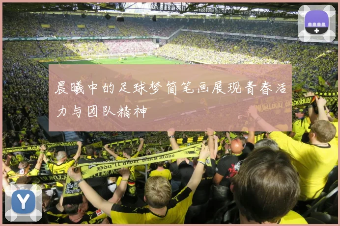 晨曦中的足球梦简笔画展现青春活力与团队精神