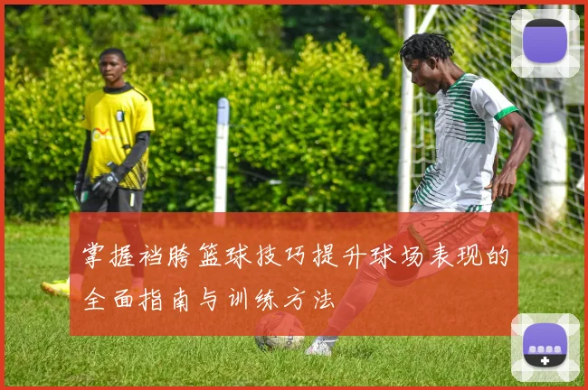 掌握裆胯篮球技巧提升球场表现的全面指南与训练方法