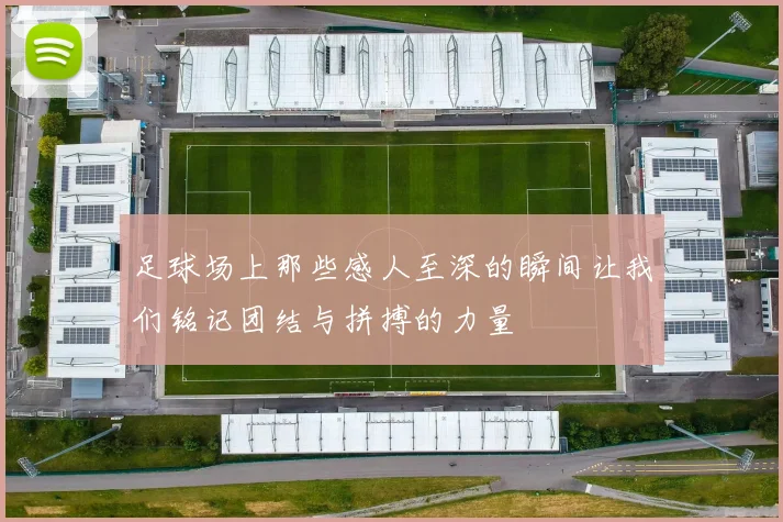 足球场上那些感人至深的瞬间让我们铭记团结与拼搏的力量