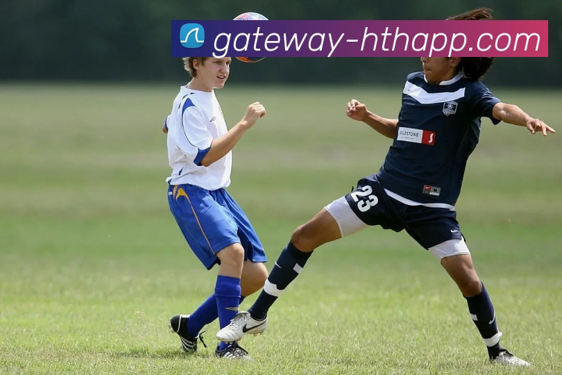 App Interface Preview